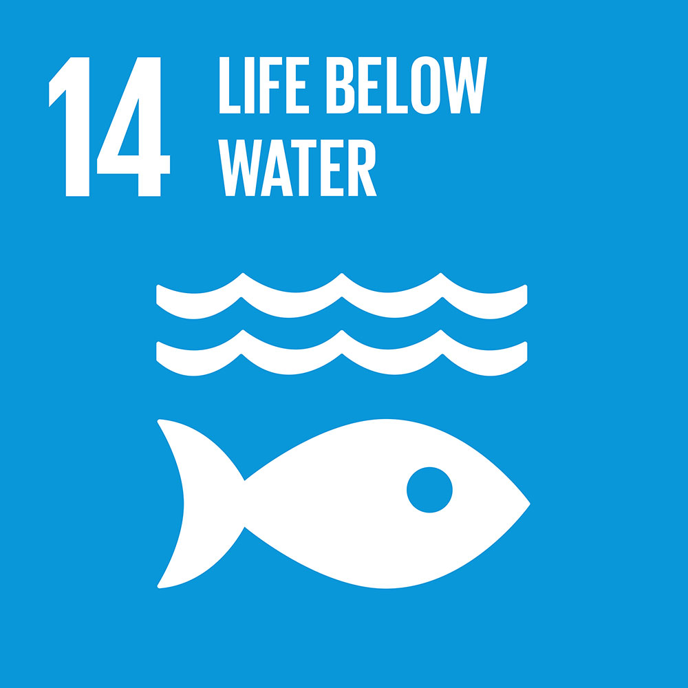 United Nations Sustainable Development Goal 14 - Life Below Water